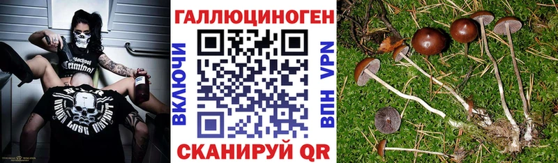 Галлюциногенные грибы MAGIC MUSHROOMS Приморск